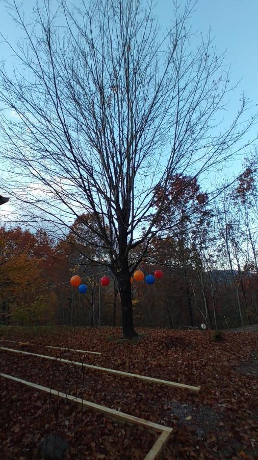 Up & Away! Mountain Cabin Villa Andrews Dış mekan fotoğraf